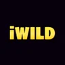 iWildcasino casino logo